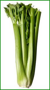celeri.jpg